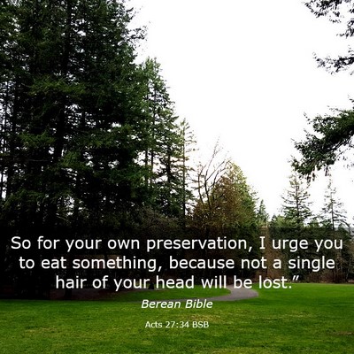 Picture 03 - Acts 27:34 BSB - So for your own preservation, I urge you to eat - Bible Verse Picture