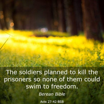 Picture 03 - Acts 27:42 BSB - The soldiers planned to kill the prisoners so - Bible Verse Picture