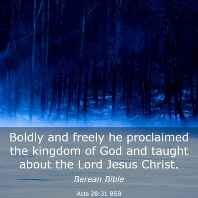 Picture 03 - Acts 28:31 BSB - Boldly and freely he proclaimed the kingdom of - Bible Verse Picture