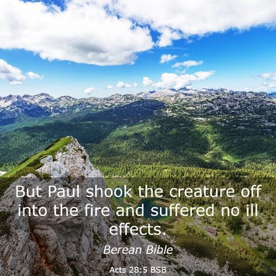 Picture 03 - Acts 28:5 BSB - But Paul shook the creature off into the fire and - Bible Verse Picture