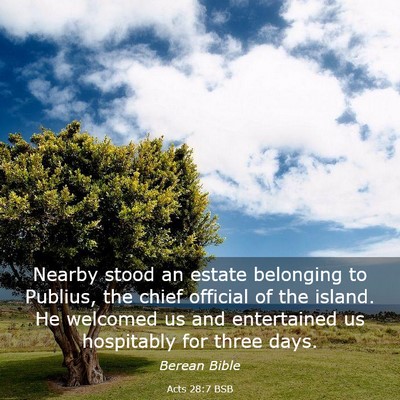 Picture 03 - Acts 28:7 BSB - Nearby stood an estate belonging to Publius, the - Bible Verse Picture