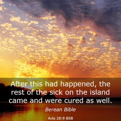 Picture 03 - Acts 28:9 BSB - After this had happened, the rest of the sick on - Bible Verse Picture