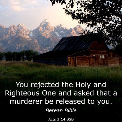Picture 03 - Acts 3:14 BSB - You rejected the Holy and Righteous One and asked - Bible Verse Picture