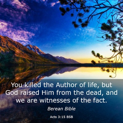 Picture 03 - Acts 3:15 BSB - You killed the Author of life, but God raised Him - Bible Verse Picture