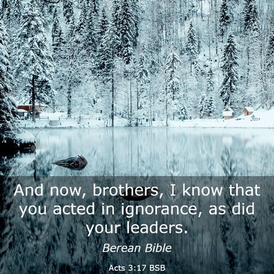 Picture 03 - Acts 3:17 BSB - And now, brothers, I know that you acted in - Bible Verse Picture