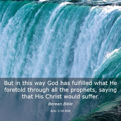 Picture 03 - Acts 3:18 BSB - But in this way God has fulfilled what He - Bible Verse Picture
