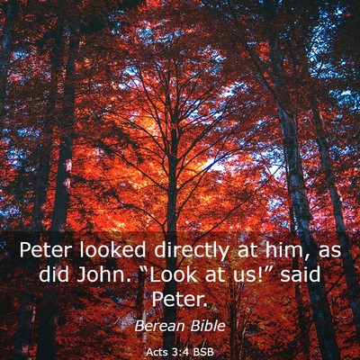 Picture 03 - Acts 3:4 BSB - Peter looked directly at him, as did John. - Bible Verse Picture