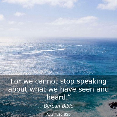 Picture 03 - Acts 4:20 BSB - For we cannot stop speaking about what we have - Bible Verse Picture