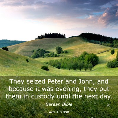 Picture 03 - Acts 4:3 BSB - They seized Peter and John, and because it was - Bible Verse Picture