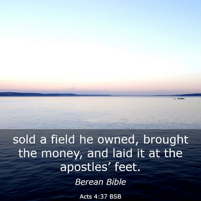 Picture 03 - Acts 4:37 BSB - sold a field he owned, brought the money, and - Bible Verse Picture
