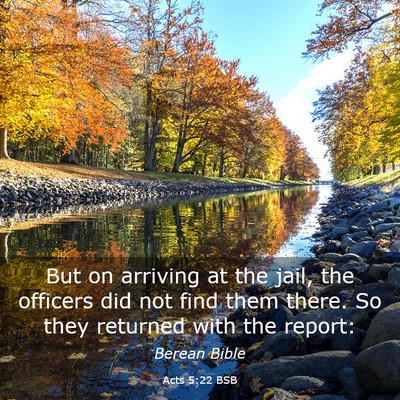 Picture 03 - Acts 5:22 BSB - But on arriving at the jail, the officers did not - Bible Verse Picture