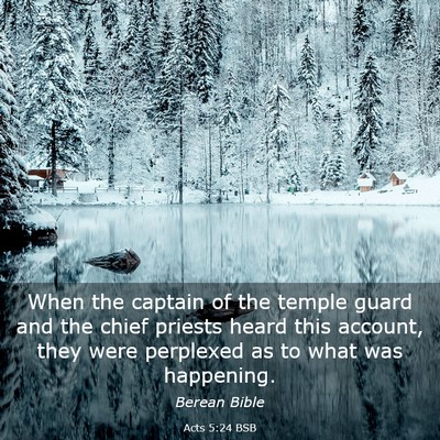Picture 03 - Acts 5:24 BSB - When the captain of the temple guard and the - Bible Verse Picture