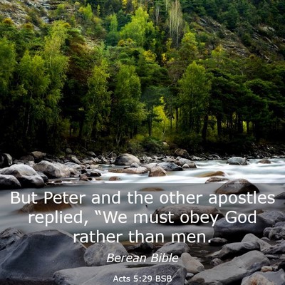 Picture 03 - Acts 5:29 BSB - But Peter and the other apostles replied, “We - Bible Verse Picture