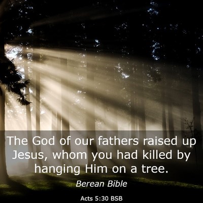 Picture 03 - Acts 5:30 BSB - The God of our fathers raised up Jesus, whom you - Bible Verse Picture