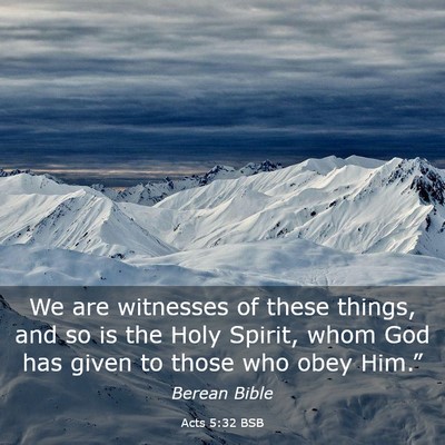 Picture 03 - Acts 5:32 BSB - We are witnesses of these things, and so is the - Bible Verse Picture