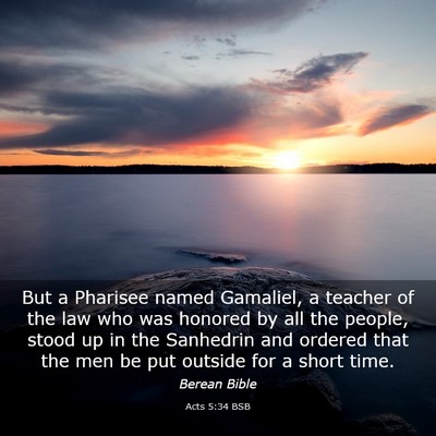 Picture 03 - Acts 5:34 BSB - But a Pharisee named Gamaliel, a teacher of the - Bible Verse Picture