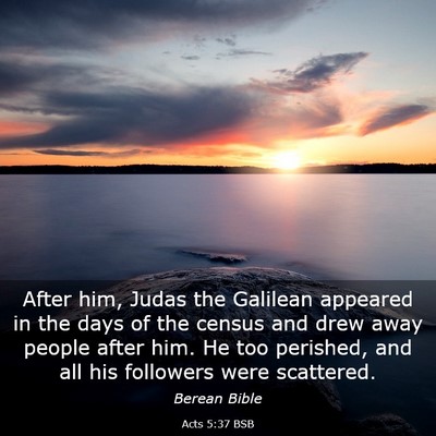 Picture 03 - Acts 5:37 BSB - After him, Judas the Galilean appeared in the - Bible Verse Picture