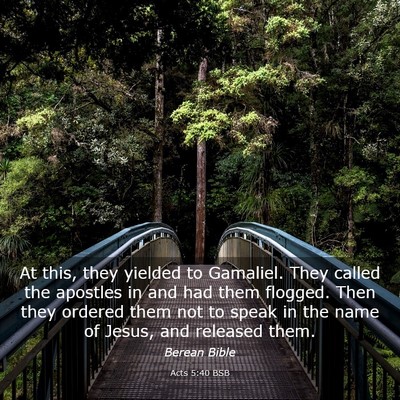 Picture 03 - Acts 5:40 BSB - At this, they yielded to Gamaliel. They called - Bible Verse Picture