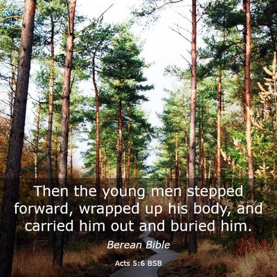Picture 03 - Acts 5:6 BSB - Then the young men stepped forward, wrapped up - Bible Verse Picture