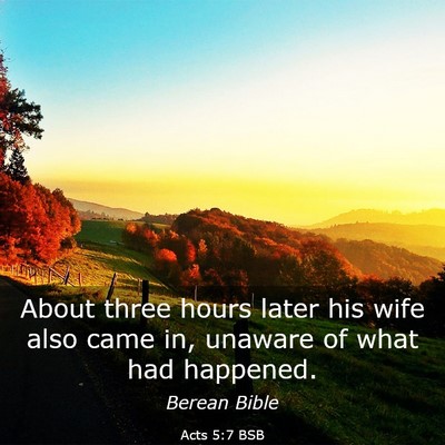 Picture 03 - Acts 5:7 BSB - About three hours later his wife also came in, - Bible Verse Picture