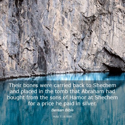 Picture 03 - Acts 7:16 BSB - Their bones were carried back to Shechem and - Bible Verse Picture