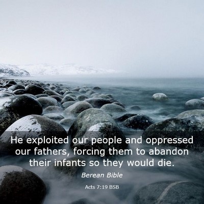 Picture 03 - Acts 7:19 BSB - He exploited our people and oppressed our - Bible Verse Picture