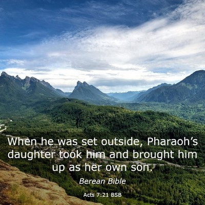Picture 03 - Acts 7:21 BSB - When he was set outside, Pharaoh’s daughter - Bible Verse Picture