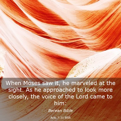 Picture 03 - Acts 7:31 BSB - When Moses saw it, he marveled at the sight. As - Bible Verse Picture