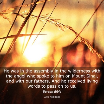 Picture 03 - Acts 7:38 BSB - He was in the assembly in the wilderness with the - Bible Verse Picture