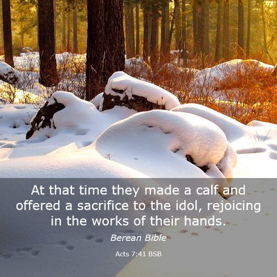 Picture 03 - Acts 7:41 BSB - At that time they made a calf and offered a - Bible Verse Picture