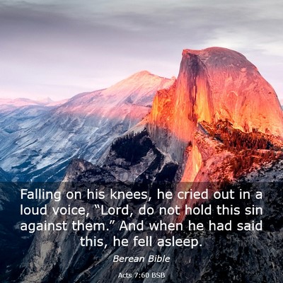 Picture 03 - Acts 7:60 BSB - Falling on his knees, he cried out in a loud - Bible Verse Picture