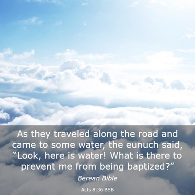 Picture 03 - Acts 8:36 BSB - As they traveled along the road and came to some - Bible Verse Picture