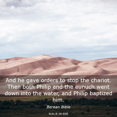 Picture 03 - Acts 8:38 BSB - And he gave orders to stop the chariot. Then both - Bible Verse Picture