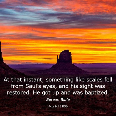 Picture 03 - Acts 9:18 BSB - At that instant, something like scales fell from - Bible Verse Picture