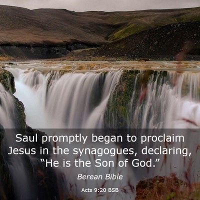 Picture 03 - Acts 9:20 BSB - Saul promptly began to proclaim Jesus in the - Bible Verse Picture