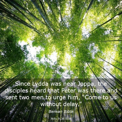 Picture 03 - Acts 9:38 BSB - Since Lydda was near Joppa, the disciples heard - Bible Verse Picture