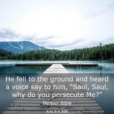 Picture 03 - Acts 9:4 BSB - He fell to the ground and heard a voice say to - Bible Verse Picture