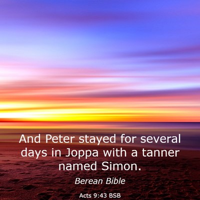 Picture 03 - Acts 9:43 BSB - And Peter stayed for several days in Joppa with a - Bible Verse Picture