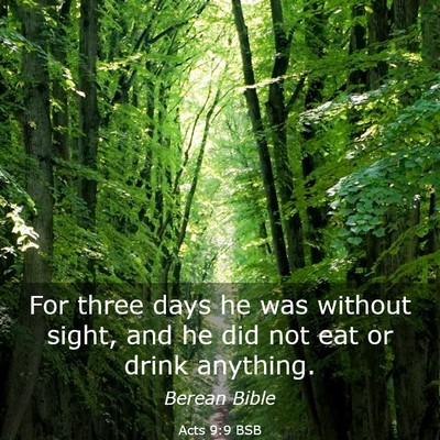 Picture 03 - Acts 9:9 BSB - For three days he was without sight, and he did - Bible Verse Picture