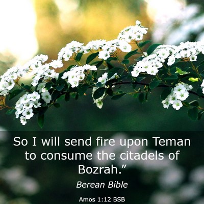 Picture 03 - Amos 1:12 BSB - So I will send fire upon Teman to consume the - Bible Verse Picture