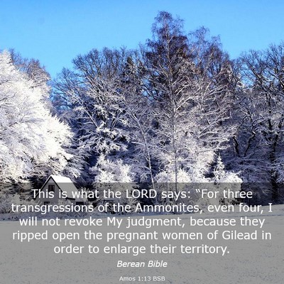 Picture 03 - Amos 1:13 BSB - This is what the LORD says: “For three - Bible Verse Picture