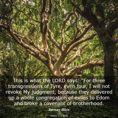 Picture 03 - Amos 1:9 BSB - This is what the LORD says: “For three - Bible Verse Picture