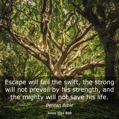 Picture 03 - Amos 2:14 BSB - Escape will fail the swift, the strong will not - Bible Verse Picture