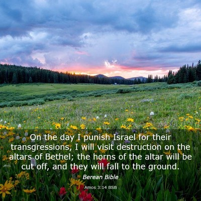 Picture 03 - Amos 3:14 BSB - On the day I punish Israel for their - Bible Verse Picture