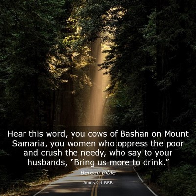 Picture 03 - Amos 4:1 BSB - Hear this word, you cows of Bashan on Mount - Bible Verse Picture
