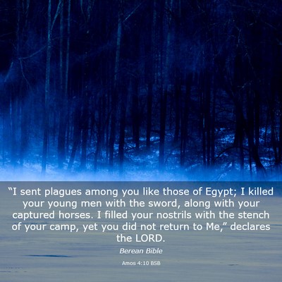 Picture 03 - Amos 4:10 BSB - “I sent plagues among you like those of Egypt; - Bible Verse Picture