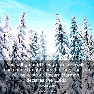 Picture 03 - Amos 4:3 BSB - You will go out through broken walls, each one - Bible Verse Picture