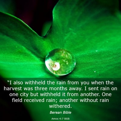 Picture 03 - Amos 4:7 BSB - “I also withheld the rain from you when the - Bible Verse Picture
