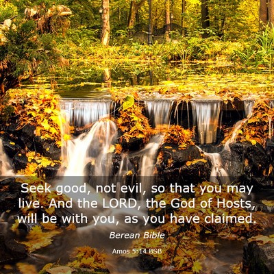 Picture 03 - Amos 5:14 BSB - Seek good, not evil, so that you may live. And - Bible Verse Picture