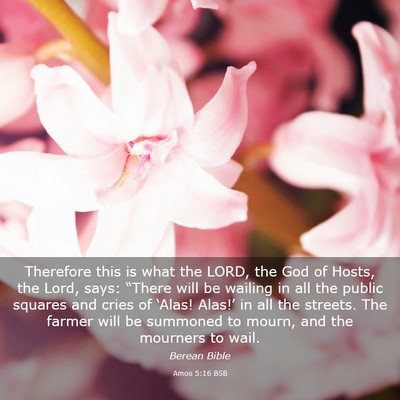 Picture 03 - Amos 5:16 BSB - Therefore this is what the LORD, the God of - Bible Verse Picture